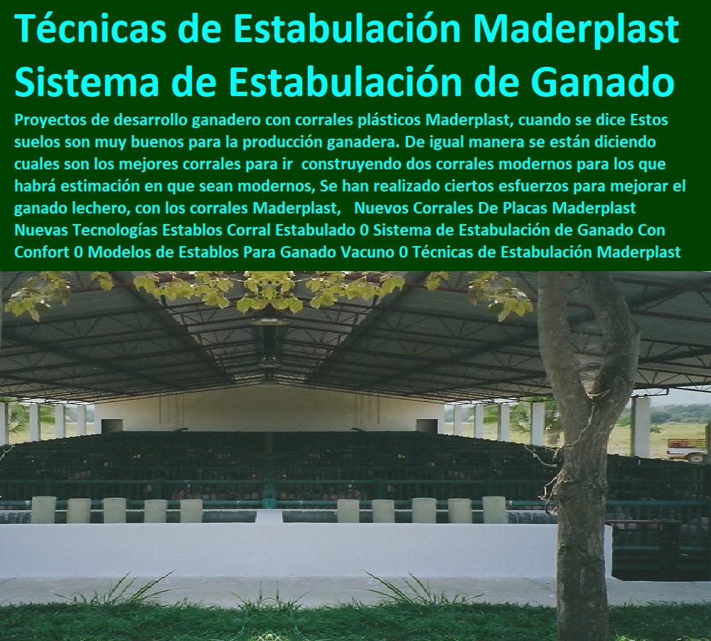 Nuevos Corrales De Placas Maderplast Nuevas Tecnologías Establos Corral Estabulado 0 Sistema de Estabulación de Ganado Con Confort 0 Modelos de Establos Para Ganado Vacuno 0 Técnicas de Estabulación Maderplast 0 Técnicas modernas Nuevos Corrales De Placas Maderplast Nuevas Tecnologías Establos Corral Estabulado 0 Sistema de Estabulación de Ganado Con Confort 0 Modelos de Establos Para Ganado Vacuno 0 Técnicas de Estabulación Maderplast 0 Técnicas modernas